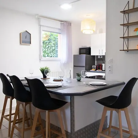 Toulousecozyflat - T2 - Parking - Terrasse - Jardin Blagnac