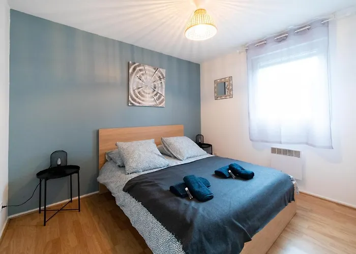 Hometimal - T2 - Free Parking - Terrasse - Jardin 布拉尼亚克